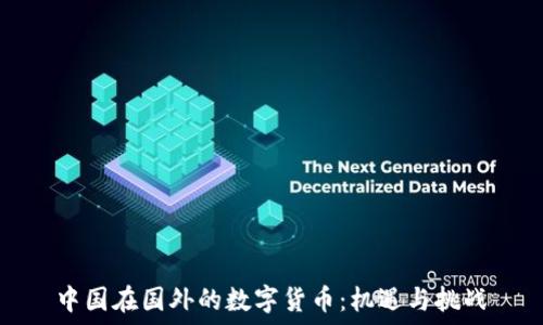   
中国在国外的数字货币：机遇与挑战