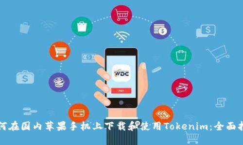 如何在国内苹果手机上下载和使用Tokenim：全面指南