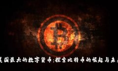 美国最大的数字货币：探