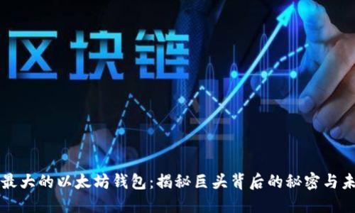 世界上最大的以太坊钱包：揭秘巨头背后的秘密与未来展望