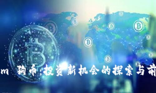 Tokenim 狗币：投资新机会的探索与前景分析