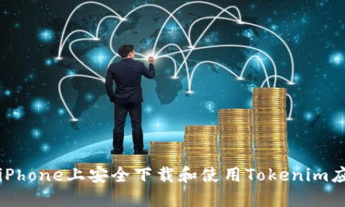 如何在iPhone上安全下载和使用Tokenim应用指南
