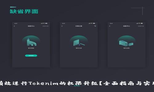 如何有效进行Tokenim的权限升级？全面指南与实用策略
