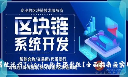如何有效进行Tokenim的权限升级？全面指南与实用策略