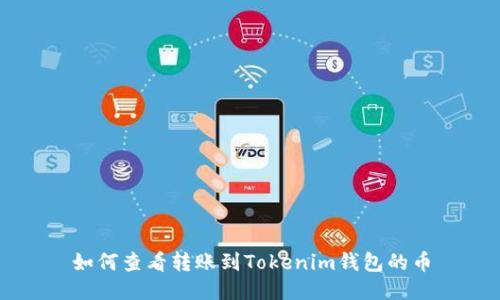 如何查看转账到Tokenim钱包的币