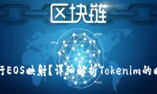 如何进行EOS映射？详细解析Tokenim的映射过程
