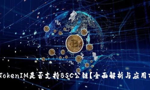 # TokenIM是否支持BSC公链？全面解析与应用前景