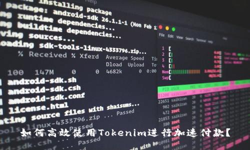 如何高效使用Tokenim进行加速付款？