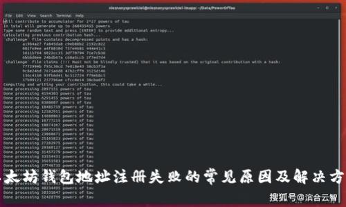 以太坊钱包地址注册失败的常见原因及解决方案