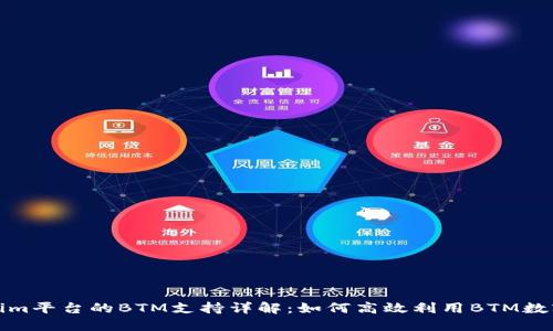 Tokenim平台的BTM支持详解：如何高效利用BTM数字资产
