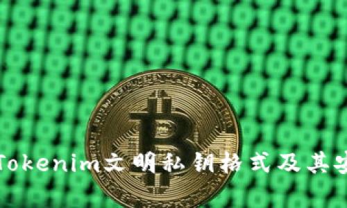 深入解读Tokenim文明私钥格式及其安全性分析
