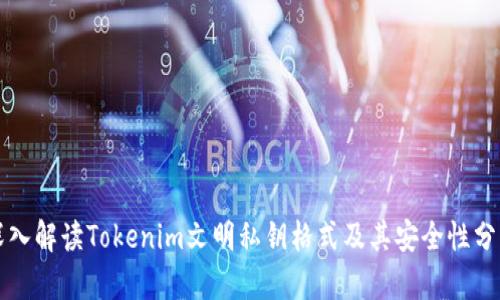 深入解读Tokenim文明私钥格式及其安全性分析