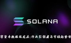 数字货币数据端龙头：行
