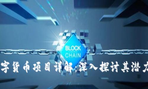 WOW数字货币项目详解：深入探讨其潜力与挑战