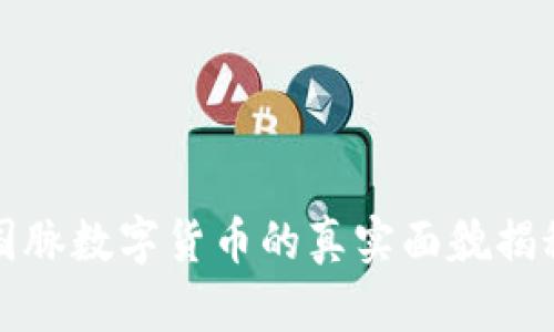 国脉数字货币的真实面貌揭秘