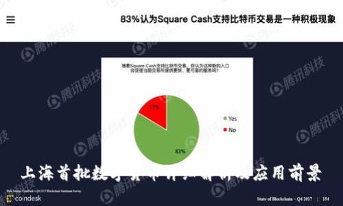  上海首批数字货币详细解析及应用前景 