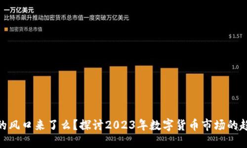 数字货币的风口来了么？探讨2023年数字货币市场的趋势与机会