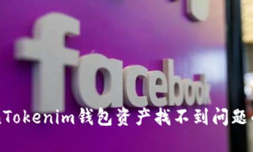 解决TokenTokenim钱包资产找不到问题的全面指南