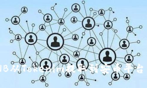 如何将BNB从Tokenim提取到安币平台：详细指南