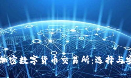 深入了解加密数字货币交易所：选择与安全性分析
