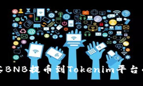 如何将抹茶BNB提币到Tokenim平台的详细指南