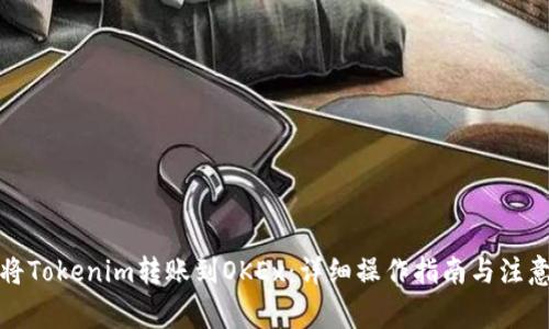 如何将Tokenim转账到OKEx：详细操作指南与注意事项