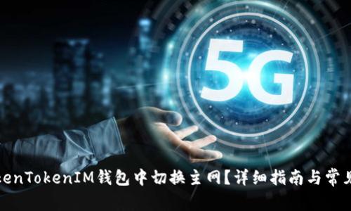 如何在TokenTokenIM钱包中切换主网？详细指南与常见问题解答