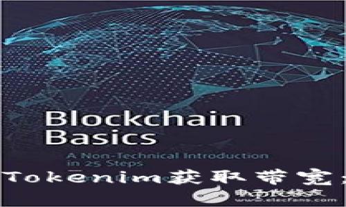 如何通过Tokenim获取带宽：全面指南