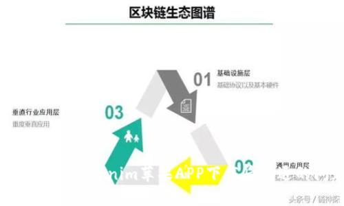 如何解决Tokenim苹果APP下载后闪退的问题