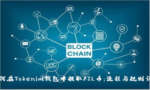 如何在Tokenim钱包中提取FIL币：流程与规则详解
