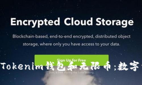 全面解析TokenTokenim钱包和无限币：数字资产管理的未来