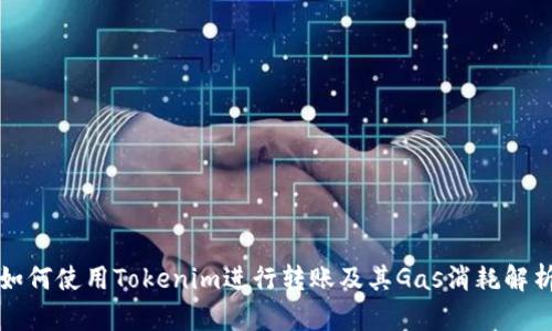 如何使用Tokenim进行转账及其Gas消耗解析