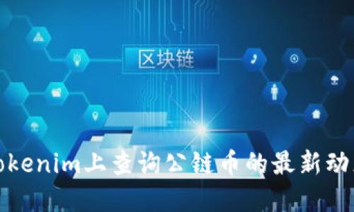 如何在Tokenim上查询公链币的最新动态与信息