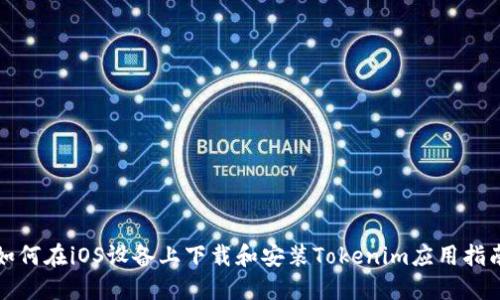 如何在iOS设备上下载和安装Tokenim应用指南