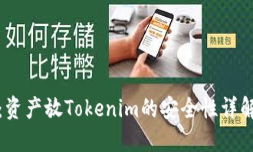 投资者必看：资产放Tokenim的安全性详解与风险评估