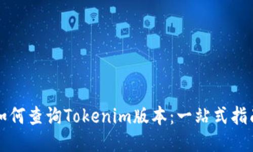 如何查询Tokenim版本：一站式指南