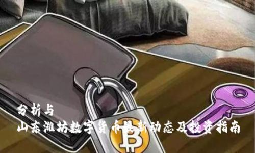 分析与  
山东潍坊数字货币最新动态及投资指南