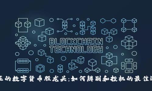 真正的数字货币股龙头：如何辨别和投机的最佳选择