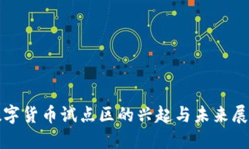 数字货币试点区的兴起与未来展望