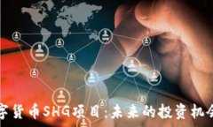   深入了解数字货币SHG项目