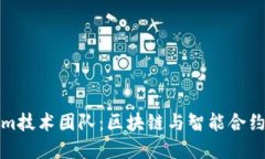 深入探讨Tokenim技术团队：