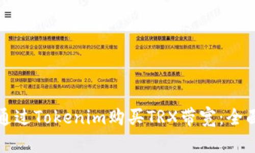 如何通过Tokenim购买TRX带宽：全面指南