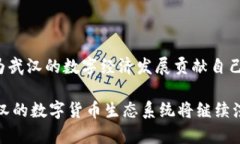   武汉数字货币现状及其未