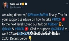TokenIM：风险评估与用户指