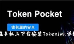 如何在手机上下载安装T