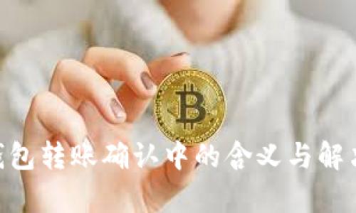 Tokenim钱包转账确认中的含义与解决方案解析