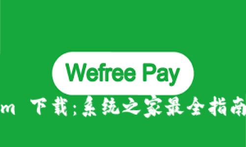 Tokenim 下载：系统之家最全指南与技巧