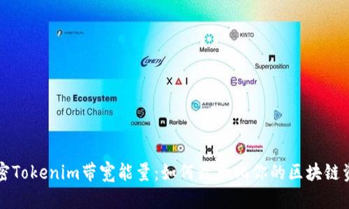 解密Tokenim带宽能量：如何最大化你的区块链资产