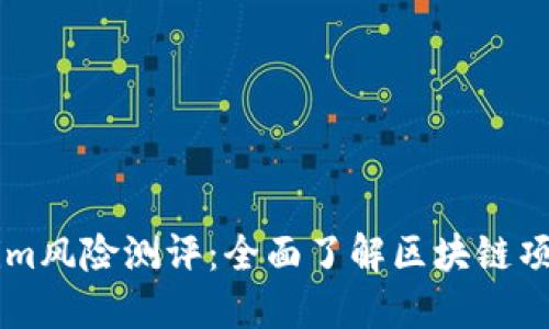 ## Tokenim风险测评：全面了解区块链项目投资风险