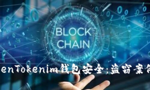 如何保护您的TokenTokenim钱包安全：盗窃案例分析与防范措施